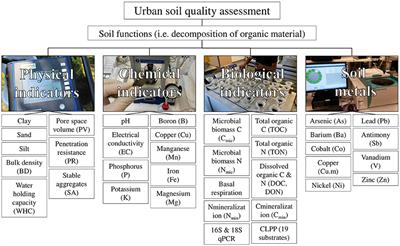 Urban Soil Quality Assessment—A Comprehensive Case Study Dataset of Urban Garden Soils